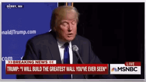 Trump Trump Wall GIF - Trump Trump Wall Border Wall GIFs