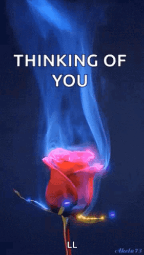 Thinking Of GIF - Thinking Of You GIFs