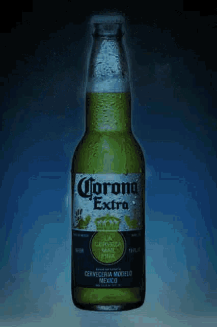 a bottle of corona extra is sitting on a table