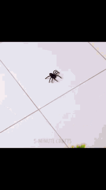 Five Minutes Crafts Spider GIF - Five Minutes Crafts Spider Space GIFs