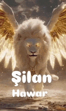 a painting of a lion with wings and the name silan written on it
