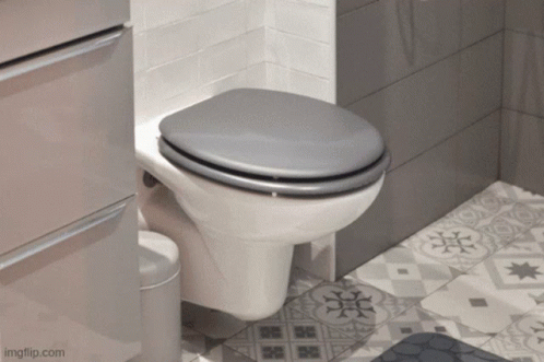 Toilet Installation Services Scarborough On GIF