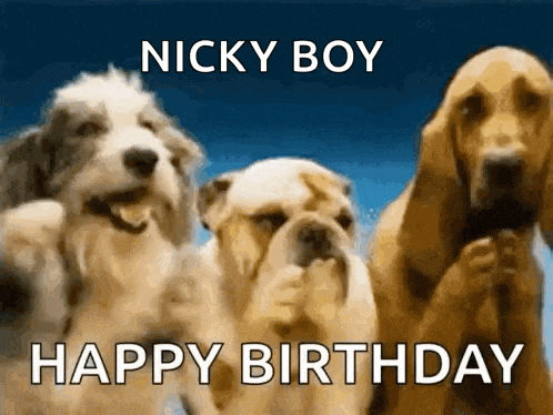 three dogs are standing next to each other with the words nicky boy happy birthday written above them .