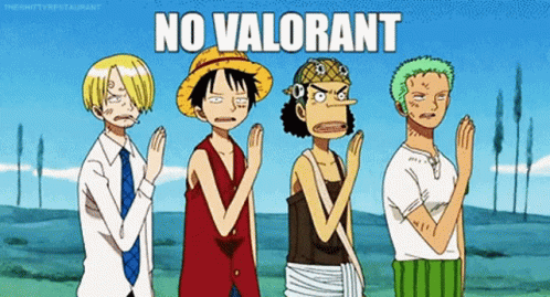 No Valorant One Piece GIF - No Valorant One Piece GIFs