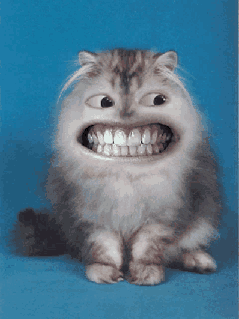 a cat with a big smile on its face is sitting on a blue background