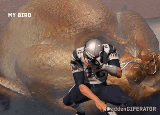 Tom Brady Bird GIF
