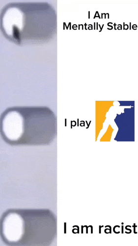 a meme that says i am mentally stable and i play i am racist