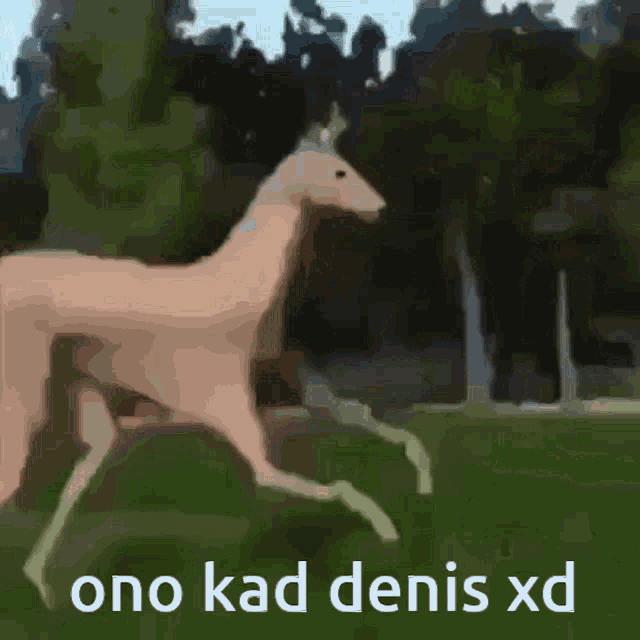 Denis Xd Ono Kad Denis GIF - Denis Xd Ono Kad Denis GIFs