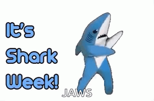 Shark Week Dancing GIF - Shark Week Shark Dancing GIFs