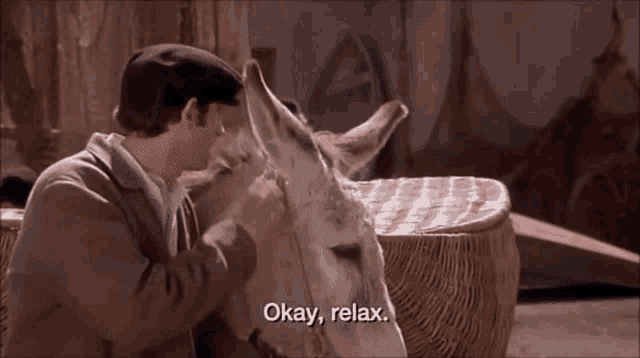 a man petting a donkey with the words " okay relax " on the bottom