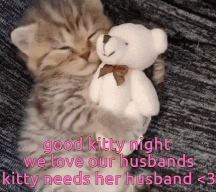a picture of a kitten hugging a teddy bear with the caption good kitty night we love our husbands