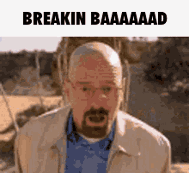 a man with a beard and glasses is standing in a field with the words breakin baaaaad above him .