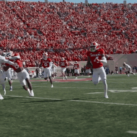a player with the number 4 on their jersey is running on the field