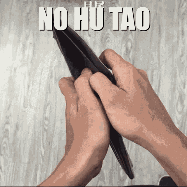 No Hu Tao GIF - No Hu Tao GIFs