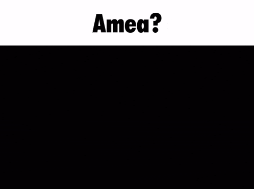 a black and white photo of a samurai in armor with the words amea ?