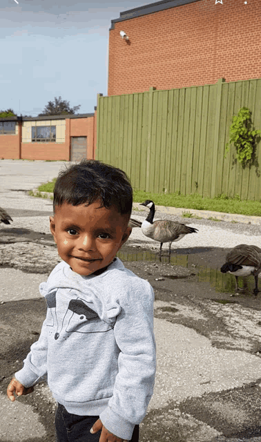 a young boy in a grey sweater with a fox on it stands in front of a goose
