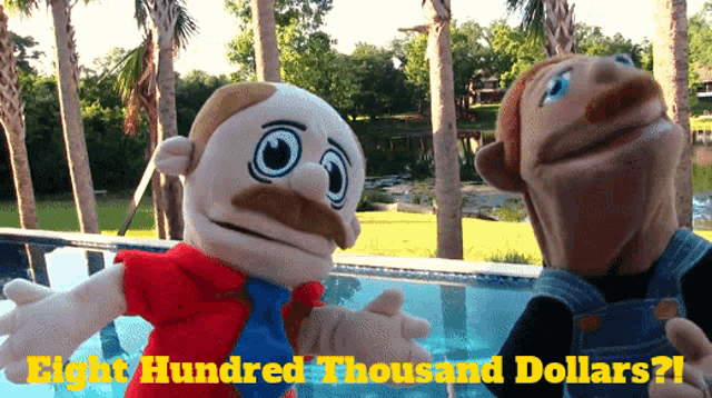 two stuffed animals are standing next to a pool with the words eight hundred thousand dollars written below them
