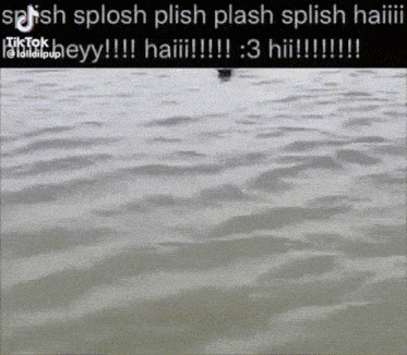 a duck is swimming in the water with the caption splash splash splash splash splash haiii .