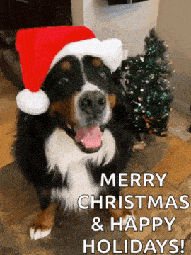 a dog wearing a santa hat is sitting in front of a christmas tree and says merry christmas and happy holidays .