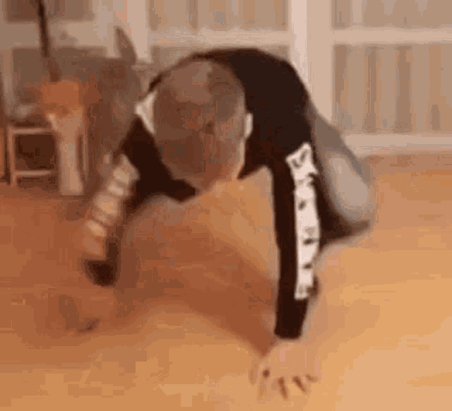 a person is doing push ups on a wooden floor in a living room .