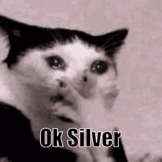 a black and white cat is crying with the words `` ok silver '' written above it .