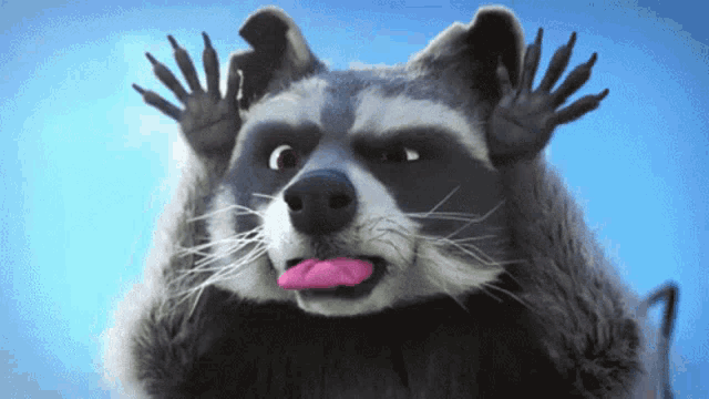 a raccoon sticking its pink tongue out and making a face