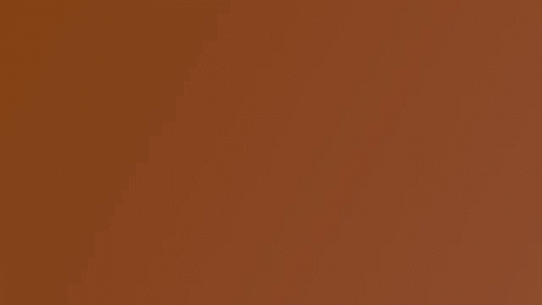 Cookie GIF - Cookie GIFs