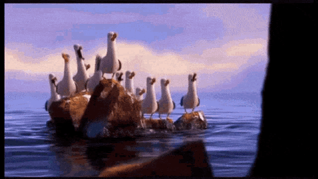 a flock of seagulls standing on a rock in the ocean