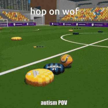 a soccer field with the words hoprok wof on the top