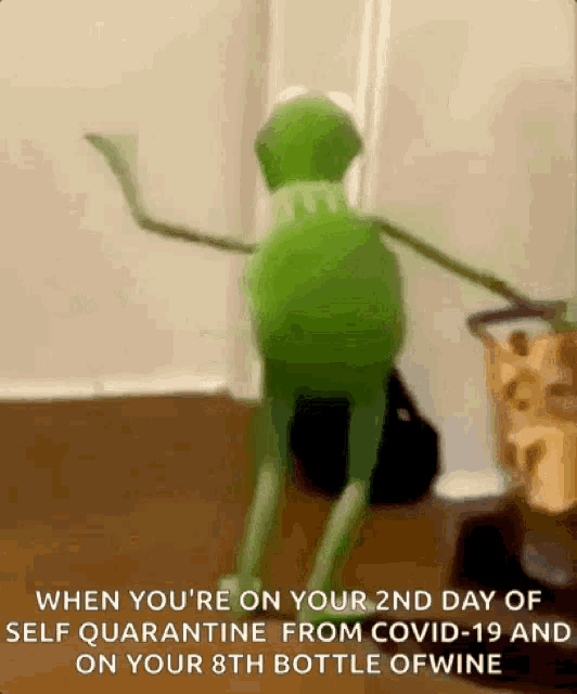 Dance Kermit GIF
