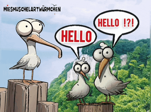 a cartoon of seagulls saying hello and hello