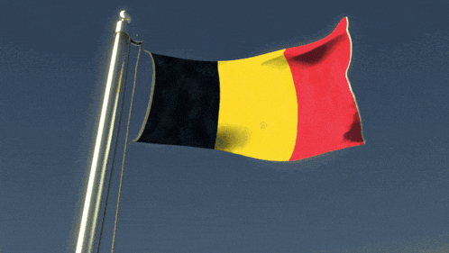the flag of belgium is waving in the wind against a blue sky