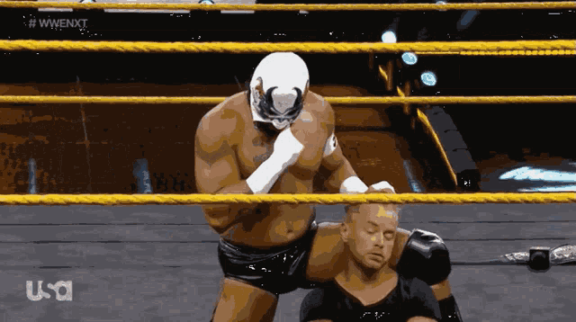 a wrestling match is being broadcast on usa network