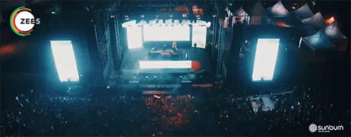 Stage Party GIF - Stage Party Concert GIFs