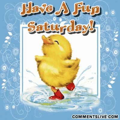 Saturday Duckling GIF - Saturday Duckling Happy GIFs