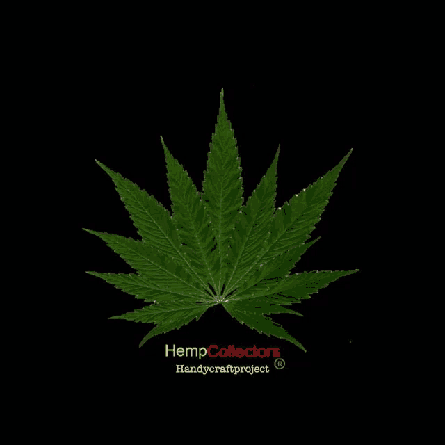 a marijuana leaf on a black background with the words hempcollectors handycraftproject underneath it