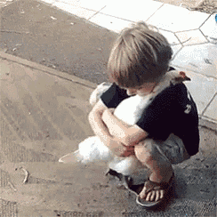 a young boy is sitting on the ground holding a duck .