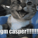 a cat is sitting on a blue blanket with its mouth open and the words gm casper written on it .