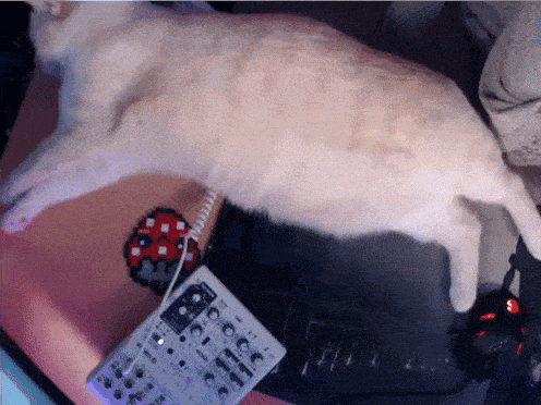 a white cat is laying on a desk next to a mixer that says ' yamaha ' on it
