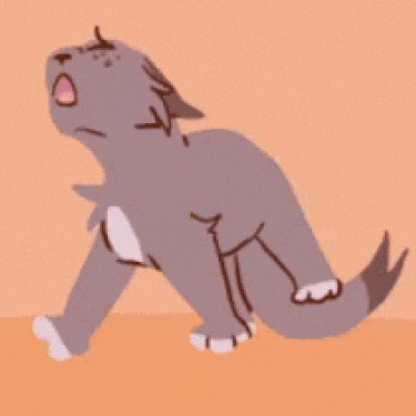 a gray cat is standing on its hind legs on a orange background .