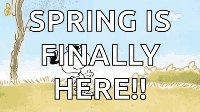 a sign that says spring is finally here with snoopy on it