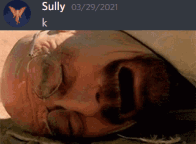 Sully Holup Discord GIF - Sully Holup Discord GIFs