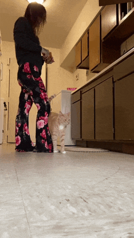 a woman in floral pants is feeding a cat in a kitchen