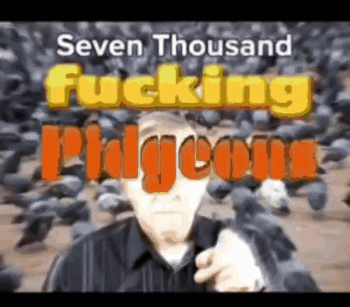 a man pointing at a flock of pigeons with the words seven thousand fucking pigeons