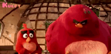 Angry Birds.Gif GIF - Angry Birds Punch Get Lost GIFs