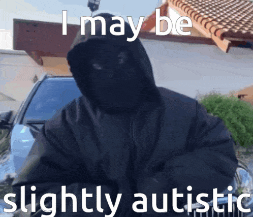 a person in a hooded jacket with the words " i may be slightly autistic " below them