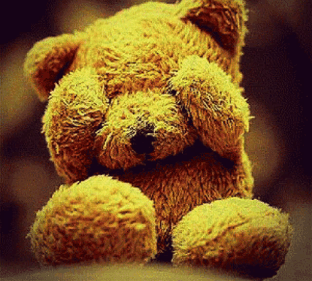 a teddy bear is covering his eyes with his paws
