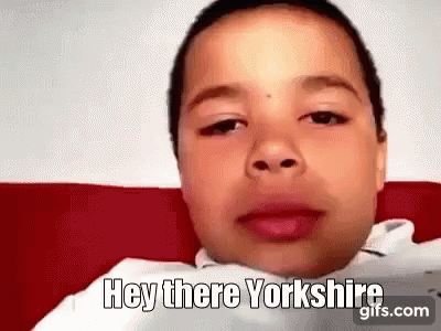 Yorkshire Hey There Yorkshire GIF - Yorkshire Hey There Yorkshire Hey GIFs