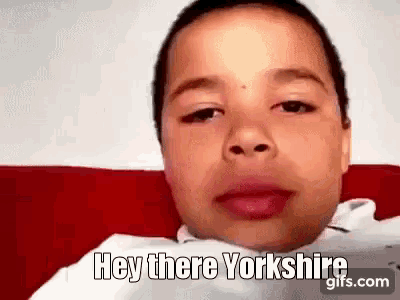 a young boy is sitting on a red couch making a funny face and saying hey there yorkshire .