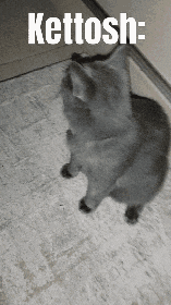 a black and white photo of a cat with the words kettosh written on the bottom